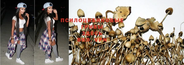 метамфетамин Алексеевка