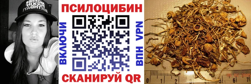Галлюциногенные грибы GOLDEN TEACHER  OMG ссылки  Барыш 